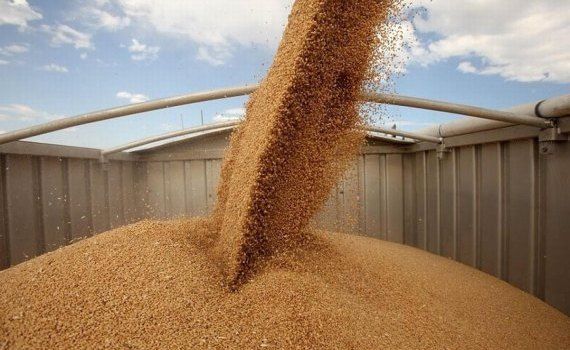 cereale export Moldova - AgroExepert.md