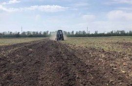 Около 60 процентов госпредприятий агросектора неплатежеспособны - agroexpert.md