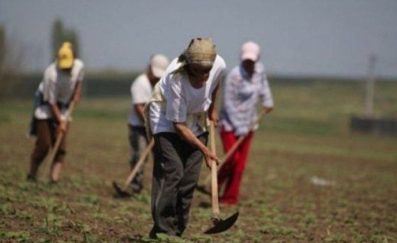 angajați agricultură Moldova - AgroExpert.md