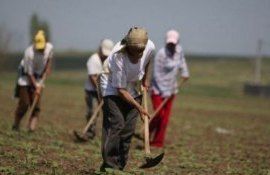 angajați agricultură Moldova - AgroExpert.md