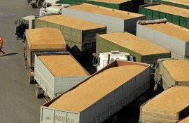 cereale Ungaria Ucraina export - AgroExpert.md