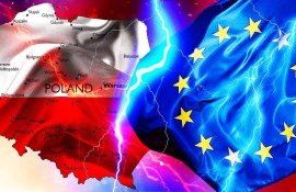 Польша просит расширить список запрещенных украинских продуктов - agroexpert.md