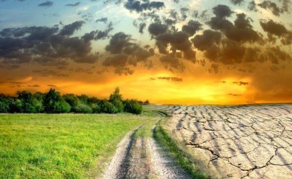 schimbări climatice plan strategie - agroexpert.md