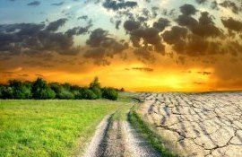 schimbări climatice plan strategie - agroexpert.md