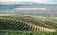Изменения программы возмещения НДС для молдавских аграриев - agroexpert.md