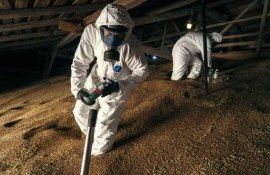 Франция сняла фосфиновый запрет на экспорт зерна вне ЕС - agroexpert.md