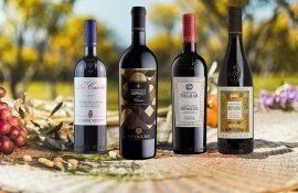 vin producție export - AgroExeprt.md