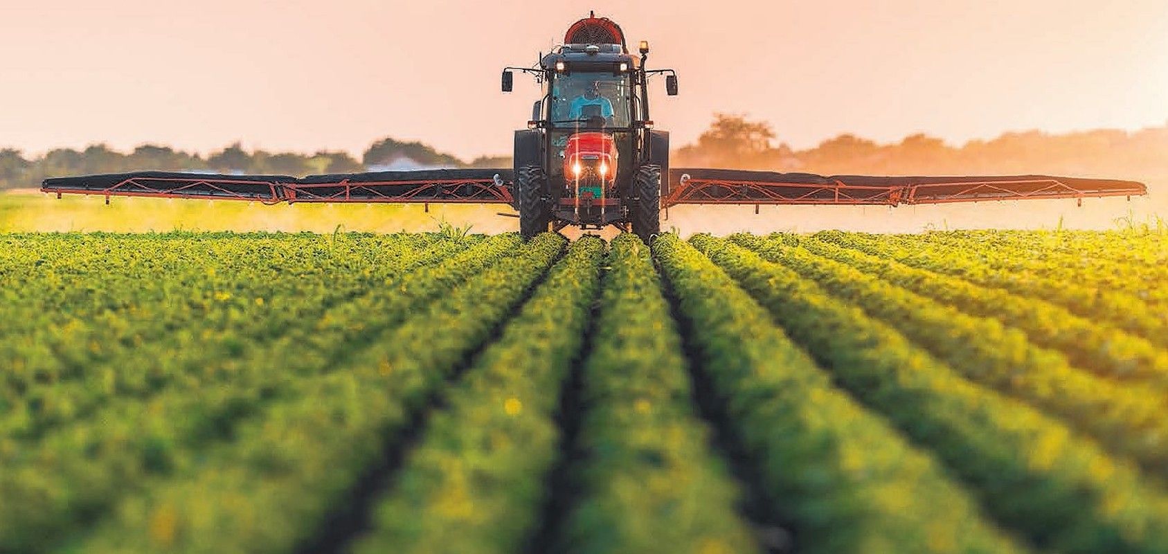 împrumut BIRD Molodva - AgroExpert.md