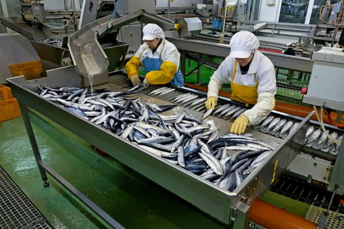 В ФАО спрогнозировали рост мировых цен на рыбу - agroexpert.md