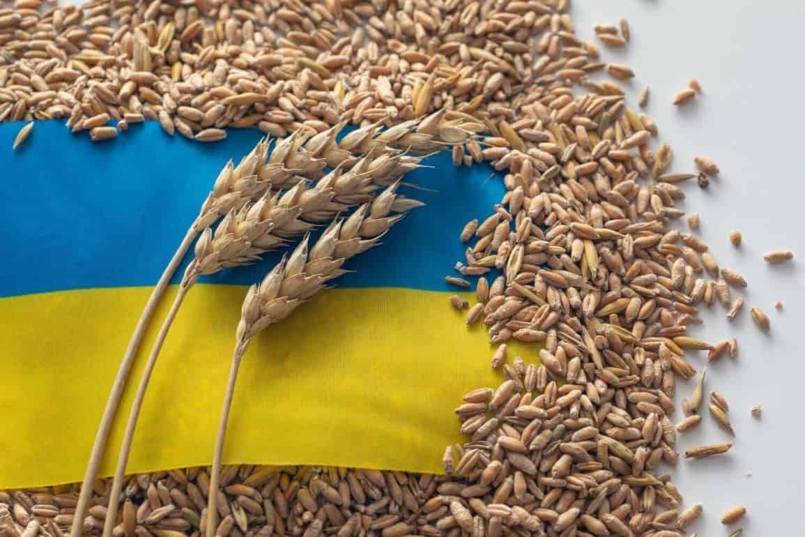 ЕС готовит экстренные ограничения на зерно из Украины - agroexpert.md