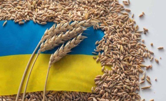 ЕС готовит экстренные ограничения на зерно из Украины - agroexpert.md