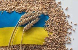 ЕС готовит экстренные ограничения на зерно из Украины - agroexpert.md