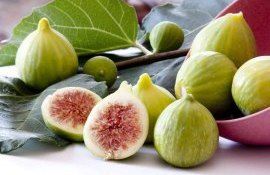 Инжир может стать новым нишевым продуктом молдавского плодоводства - agroexpert.md