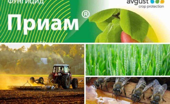 Подборка новостей - agroexpert.md