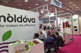 mere expoziție MoldovaFruct - agroexpert.md