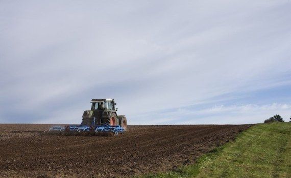 suvbenții avans, sol - agroexpert.md