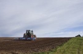 suvbenții avans, sol - agroexpert.md
