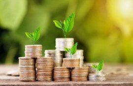 Творческим компаниям предлагают гранты до 30 тыс. долларов - agroexpert.md