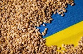 cereale Ucraina Polonia - agroexpert.md