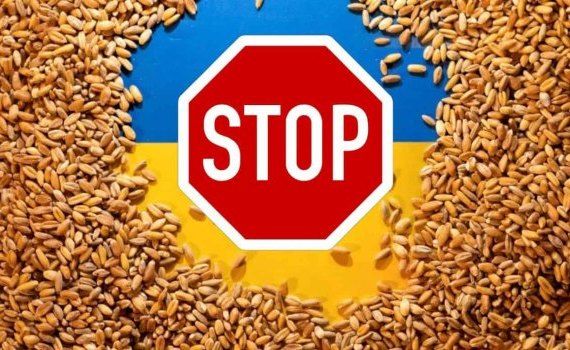 Венгрия предложила запретить импорт украинского зерна в ЕС - agroexpert.md
