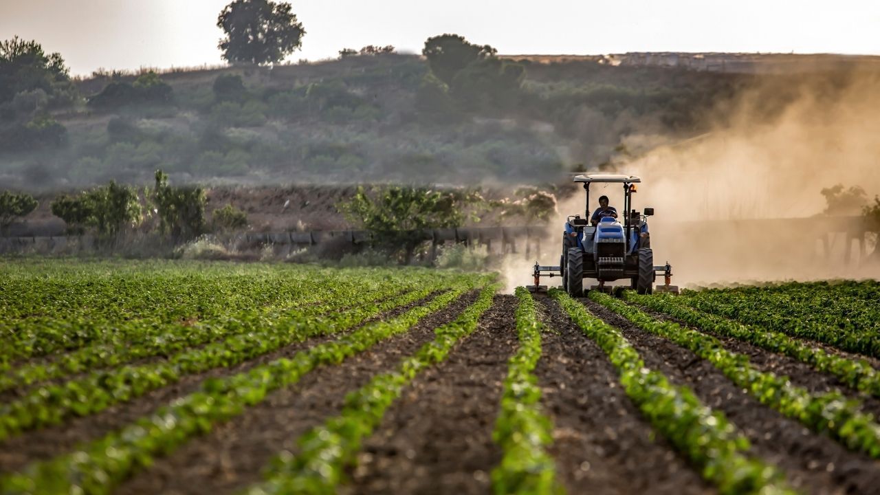 consiliere agricolă - agroexpert.md