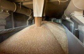 Турция вводит запретительную пошлину на ввоз зерна - agroexpert.md   