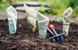 subvenții datorii Forța Fermierilor - agroexpert.md