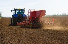 fermieri Ucraina terenuri - AgroExpert.md