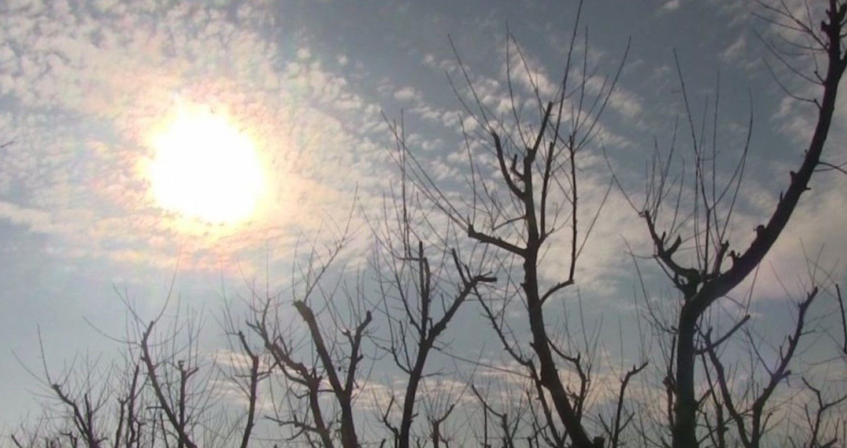 îngheț avertizare meteo - AgroExpert.md