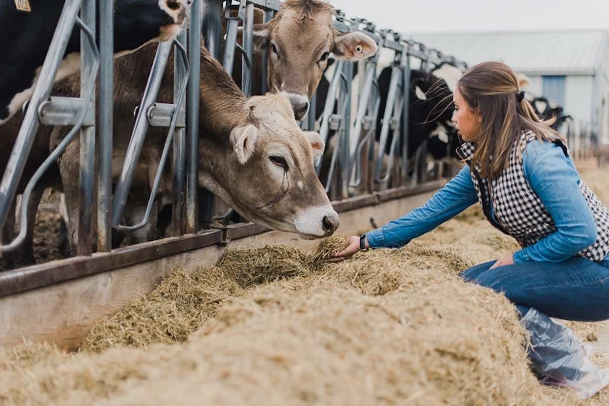 radiere gospodării țărănești - agroexpert.md