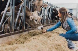 radiere gospodării țărănești - agroexpert.md