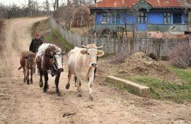 sate investiții fermeiri - AgroExepert.md