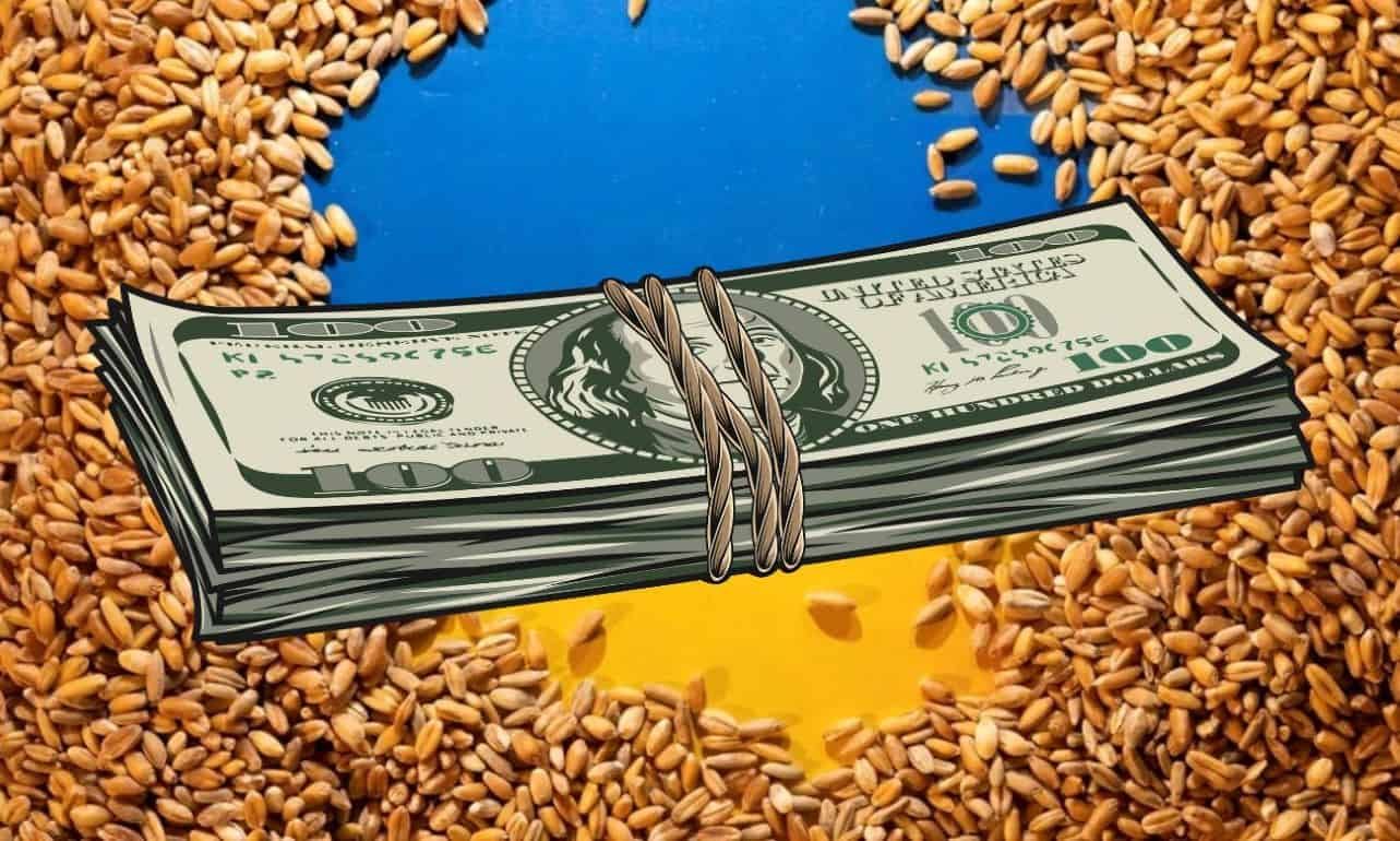 Потери Украины от блокирования экспорта зерна в ЕС 200 млн долларов - agroexpert.md