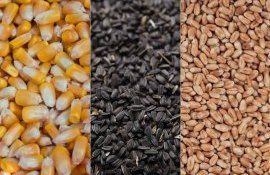 Еврокомиссия согласовала импорт украинской агропродукции - agroexpert.md
