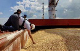 cereale Ucarina export- AgroExpert.md