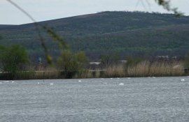 lebede lac atracție turistică - agroexpert.md