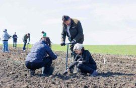 paduri noi plantate - agroexpert.md