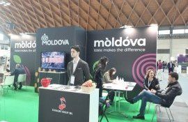 expozitia mac fruct - agroexpert.md