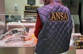 controale ANSA - agroexpert.md