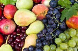 Продление квоты на поставки молдавских фруктов в ЕC - agroexpert.md 