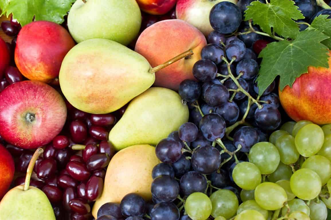 Продление квоты на поставки молдавских фруктов в ЕC - agroexpert.md 