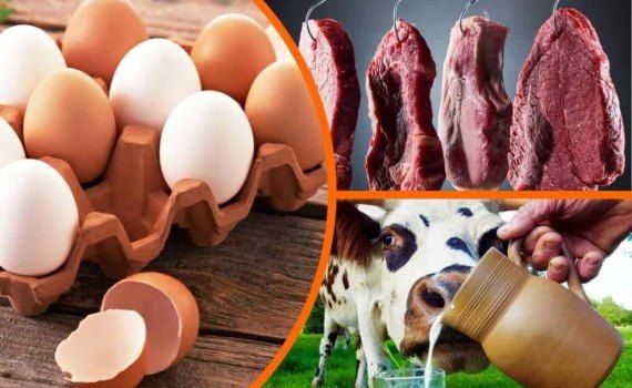 Производство продукции животноводства в Молдове падает - agroexpert.md