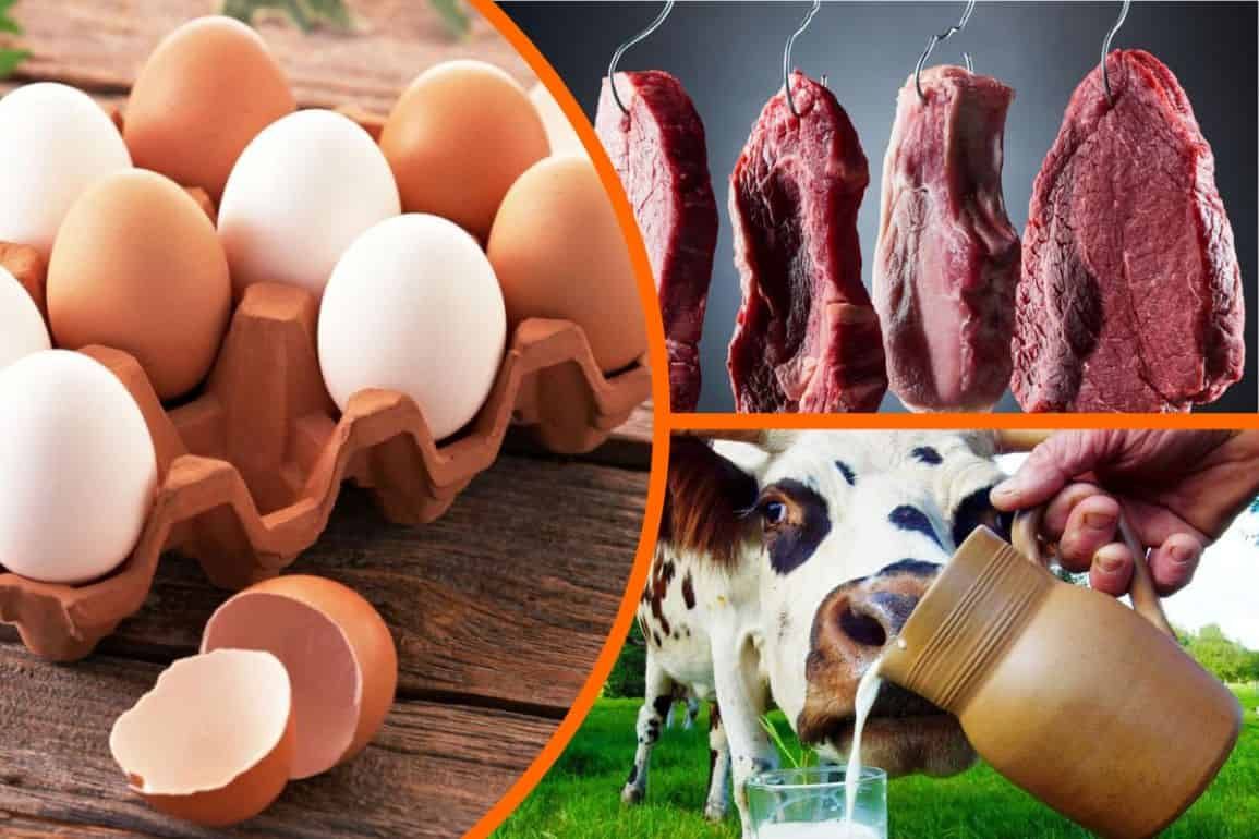 Производство продукции животноводства в Молдове падает - agroexpert.md