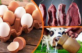 Производство продукции животноводства в Молдове падает - agroexpert.md