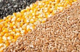 Словакия смягчила запрет на импорт сельхозтоваров с Украины - agroexpert.md