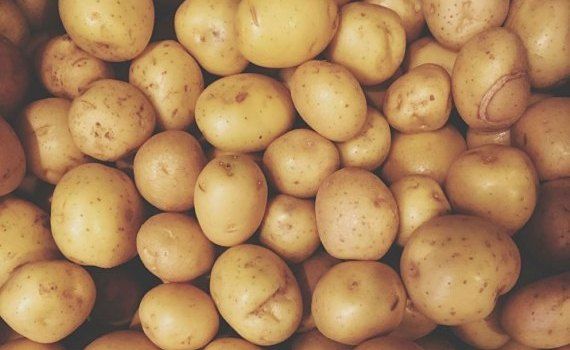 Молдавский картофель урожая-2023 появится позже обычного срока - agroexpert.md   