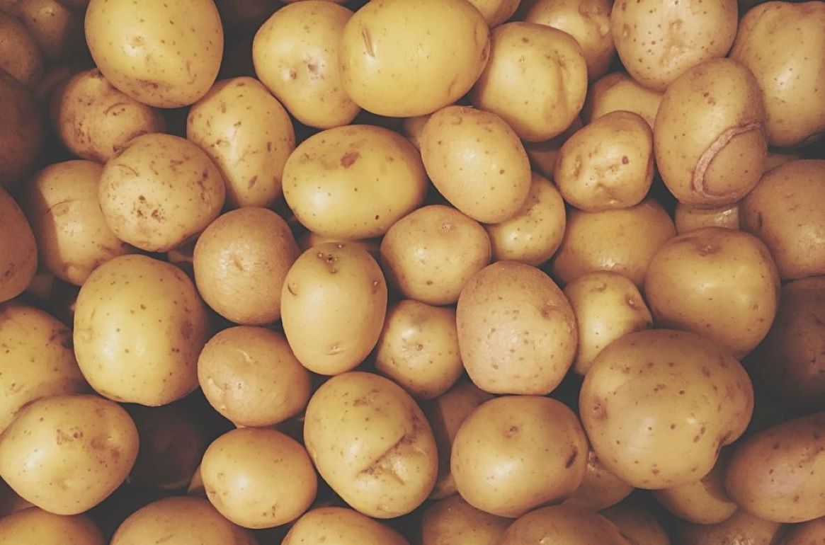 Молдавский картофель урожая-2023 появится позже обычного срока - agroexpert.md   