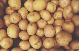 Молдавский картофель урожая-2023 появится позже обычного срока - agroexpert.md   