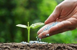 produse de uz fitosanitar subvenții - agroexpert.md