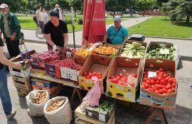 târg produse Chișinău - AgroExpert.md